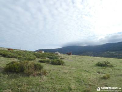 Colgadizos - Sierra de Somosierra; montañas cuevas del aguila cebreros rio alberche las tablas de da